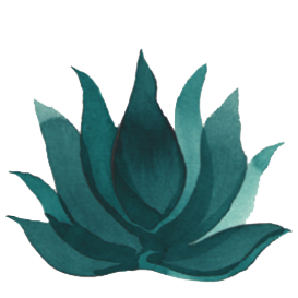 How - Rates & Sessions